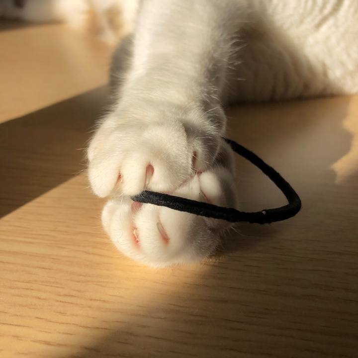 17e880d5 e403 4c09 ad2f 6c66a2ec2f7c 1515764972743