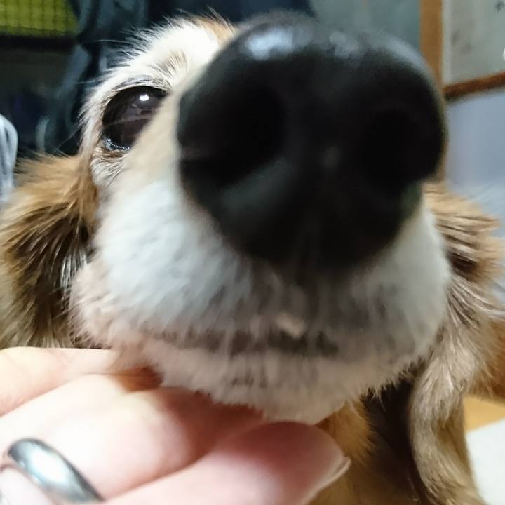 17e89f37 a534 4035 b1da 0280fe1fbeb5 1516094946487