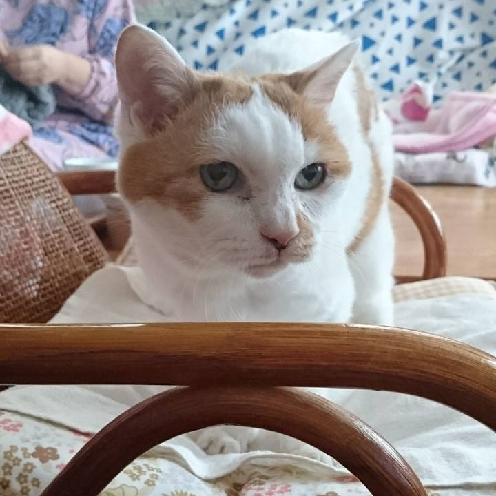 17e8a84f 8674 4b55 8e21 6385e996537f 1514960124053