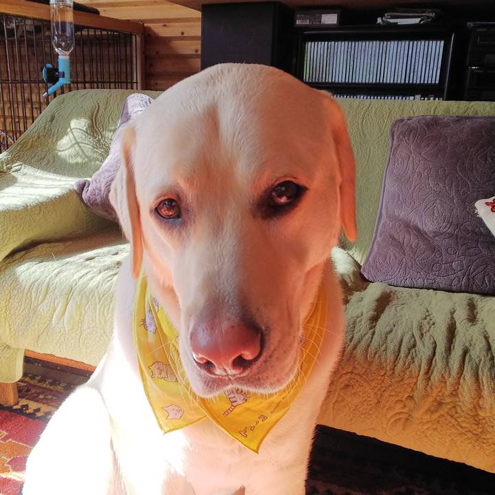 17e8cb68 bbe9 4723 982f 8d0741eba622 1518180411452