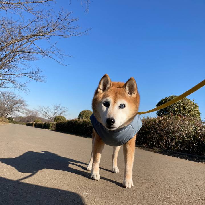 17e8e6d2 a7d6 4687 a8e5 488fc77d7590 1768305760269