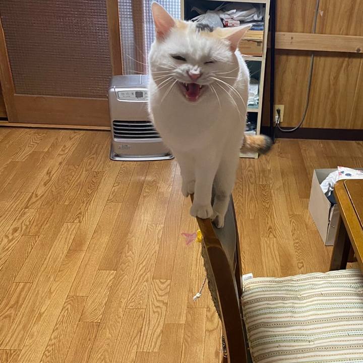 17e93286 75f2 4677 8c2f 8acd76e587dd 1647130266292