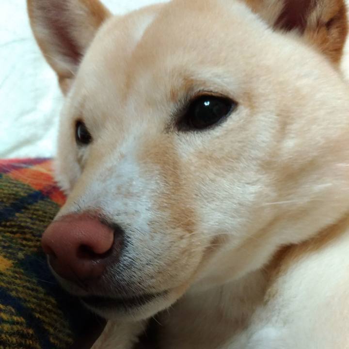 17e963d9 eac4 4468 9cd7 b7e1b9c74311 1518181289252