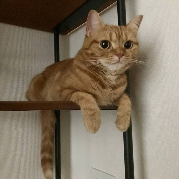 17e9742c 5996 485c b014 264aa88a55f1 1537489346239