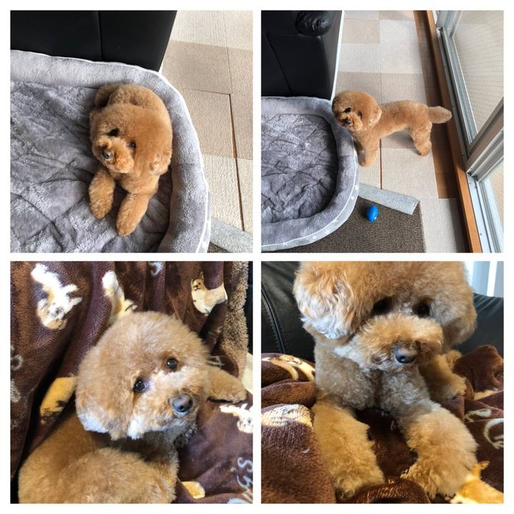 17e99837 c547 49ba 8218 b635fd8ef53f 1583310542579