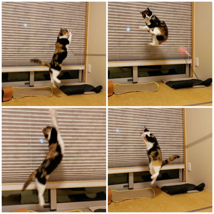 17e9c04b 74f3 4308 b02b 152964a3ba3d 1645156546376