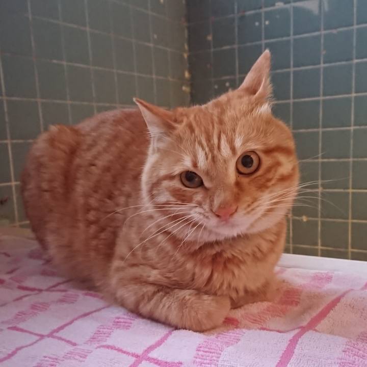 17e9fa89 3363 46a6 ad45 9a90ea70075f 1652609388502