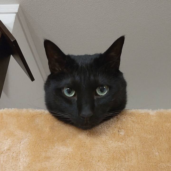 17ea4814 8de4 4618 80cb 3236878dc436 1621071405917