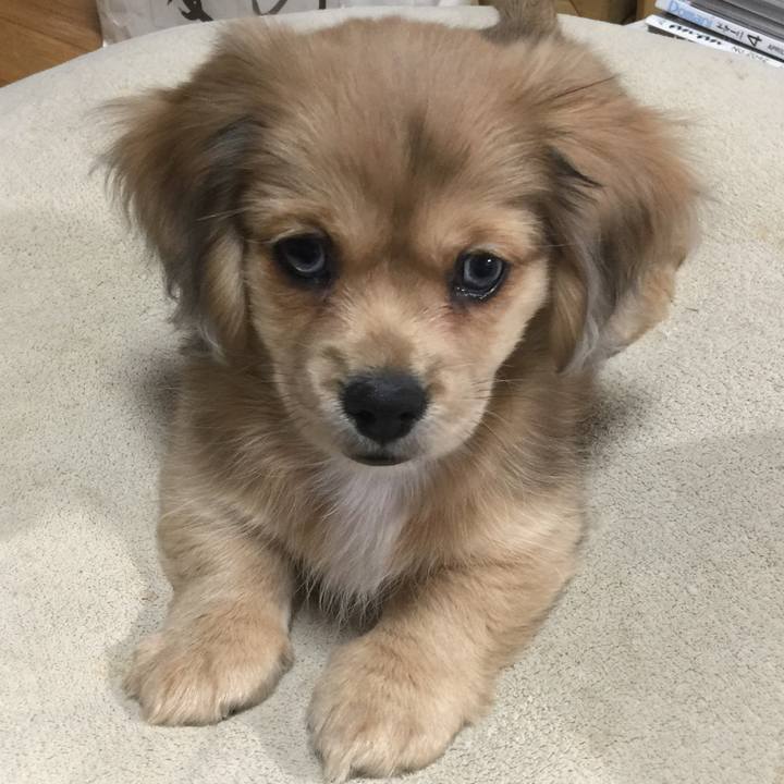 17ea4e97 ee4a 4612 95ff 6c6106bb5808 1625779661608