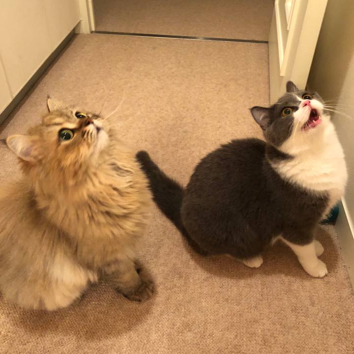 17ea8382 9e53 48f2 aa45 ba028da8220d 1530192560051