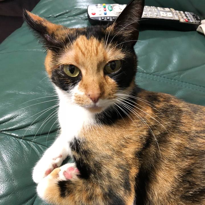 17ea89f4 c290 42ed 833d 9491304926b0 1538396215263