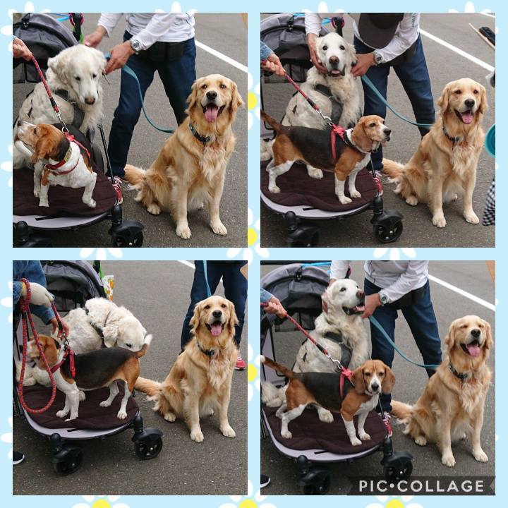 17ea993a 0356 41db b8f3 8d1568374075 1590877089842