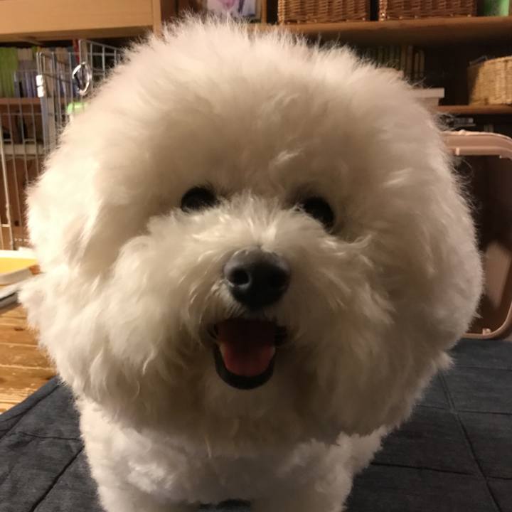 17eaa98d bf02 413b b2b5 ce39455ce516 1527501659567