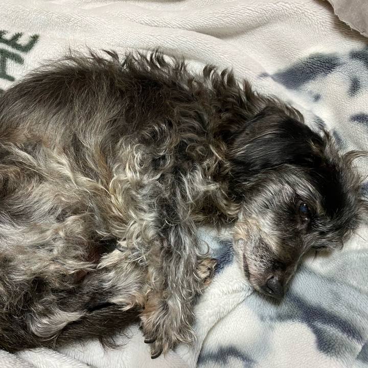 17eaacb2 1ddb 44dc b641 3cfdb74169ef 1701730616897