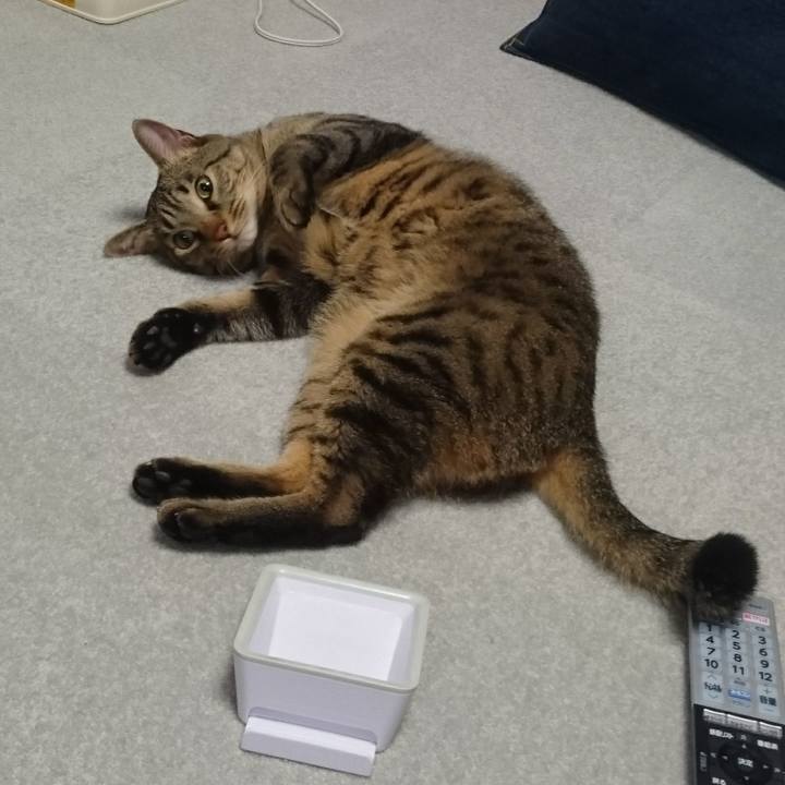 17eaef49 f054 4b3e 9544 276d1210c12d 1511148856349