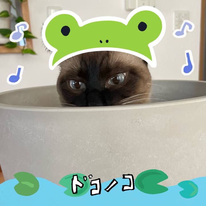 17eaf966 411f 4940 9b57 ad89730bd738 1717586865586