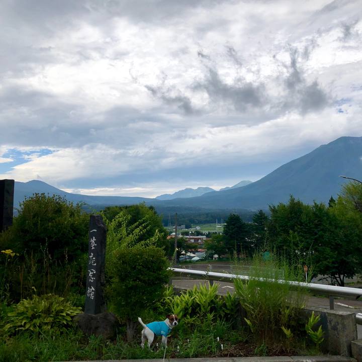 17eb12a5 a332 4682 b194 87889c0a8502 1566532758785