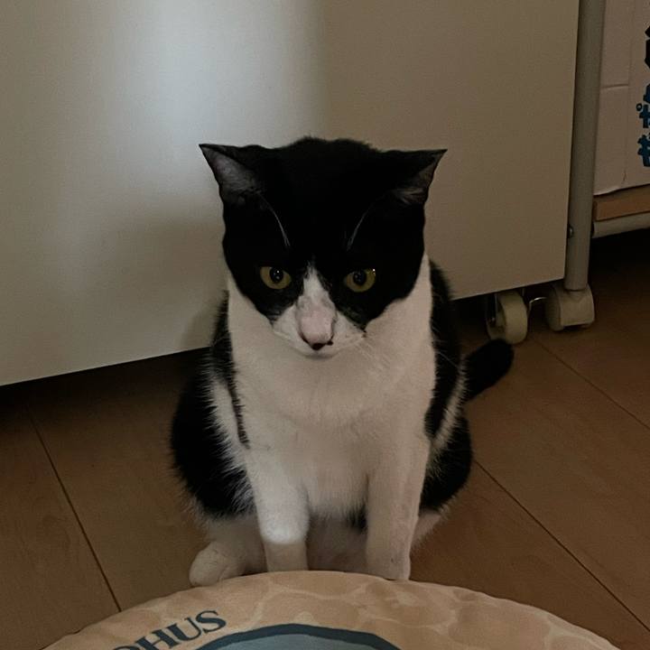 17eb3eed aacd 4fc2 bc61 1f4c8d958c29 1723889941383