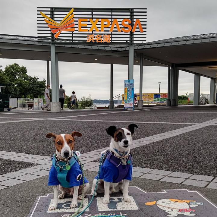 17eb4630 bb9a 41cb ae72 86b04e540400 1663832627949