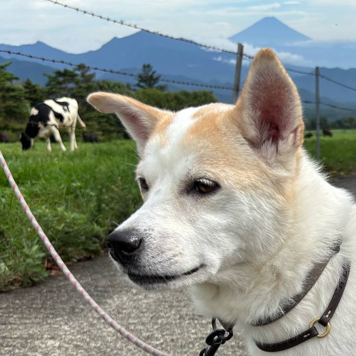 17eb6c23 bcc0 4995 bede f49c4c735194 1758453991052