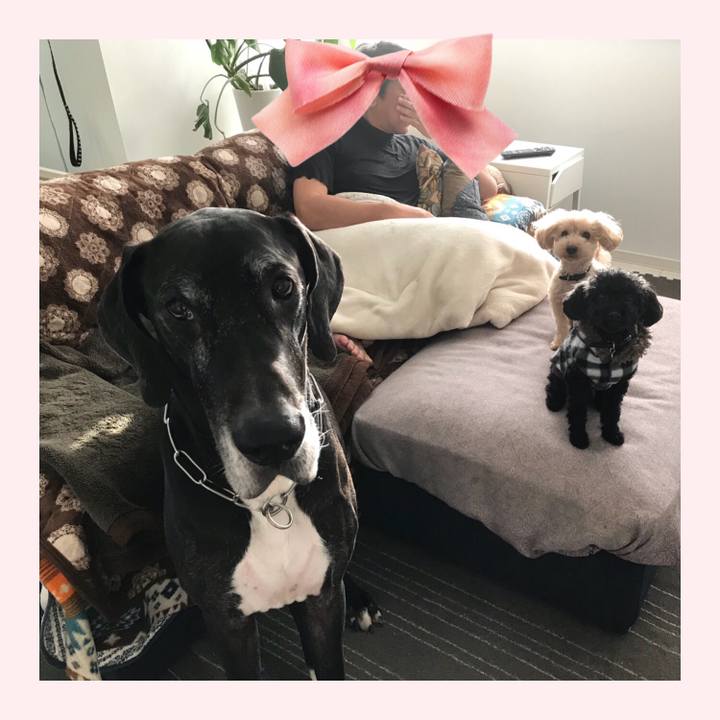 17eb757c 8b0e 4fea 80be 7a3139a572e1 1512341297085