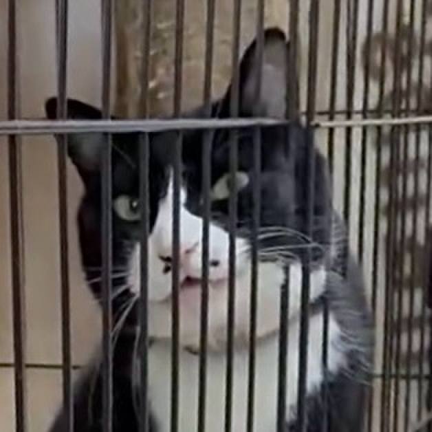 17eb8334 862e 407c a1b0 d44bd0c6489a 1774098377781