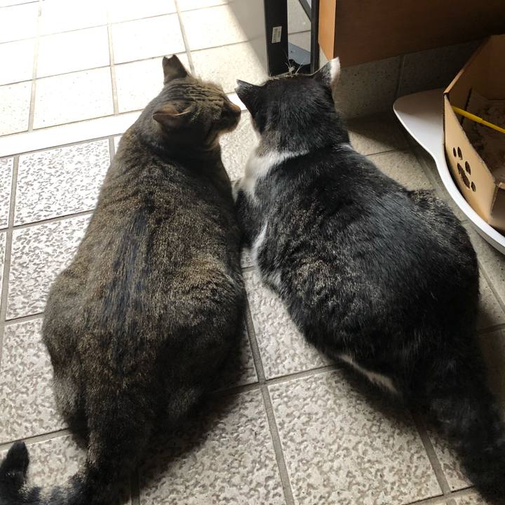 17ebc366 316b 4172 a300 ee617dced6f7 1570017770560