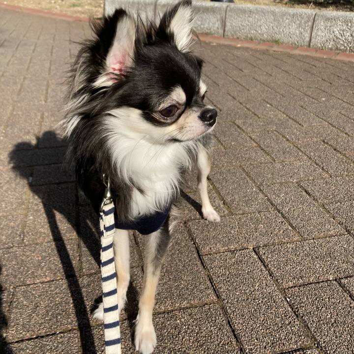 17ebca45 c9c6 4bbe 8086 5623c07ab3e7 1609047378928