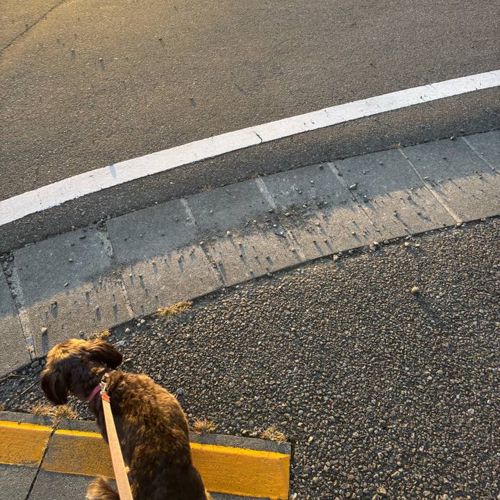 17ebda32 ba63 4517 8018 f15ad43091f3 1761257772772