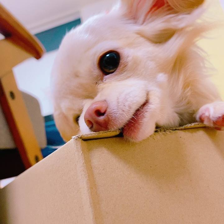 17ebfb41 365f 48a1 a1cd 0fe854546f5b 1622108470046