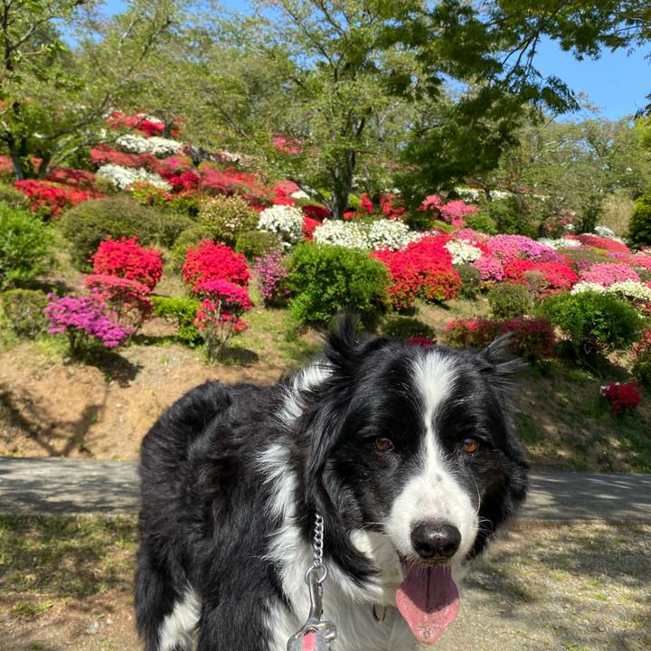 17ec3660 52db 4960 9a6c 5c61426a6652 1681108034686