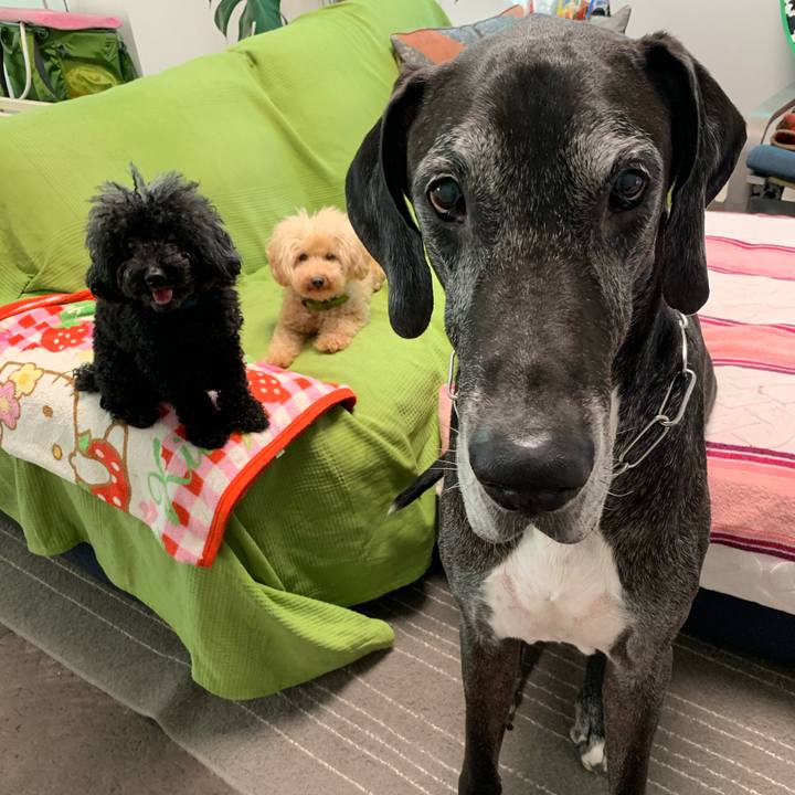 17ec604f 7734 46dd a6ce 0ade8ab21986 1597791697388