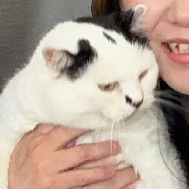 17ecb65f 3ef4 48bc 873a 14192f81c0f9 1771823844573