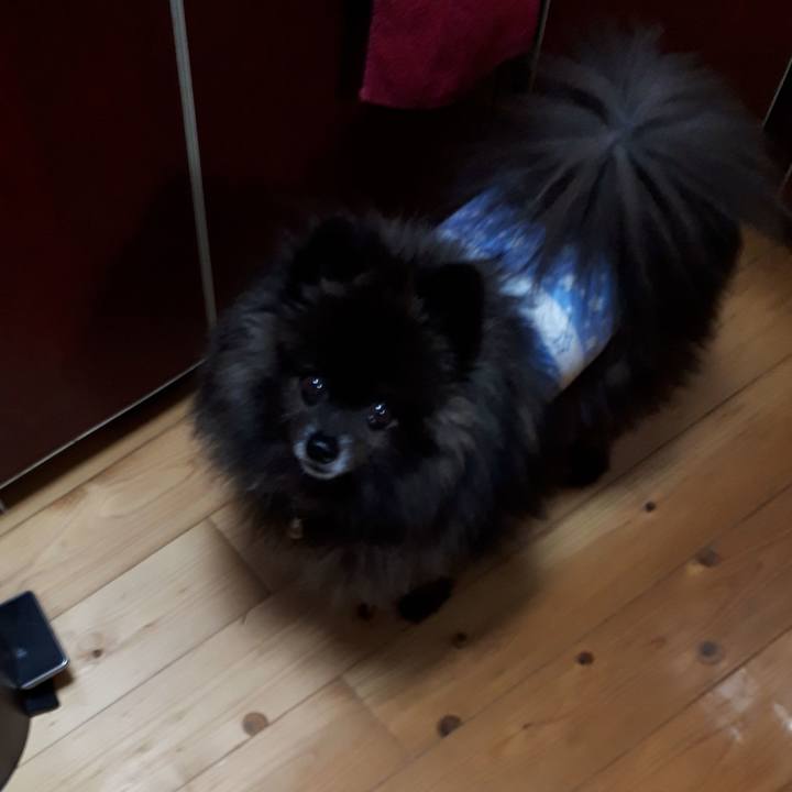 17ed26d6 7f59 4705 a1bd 164b9fe65039 1522009125808