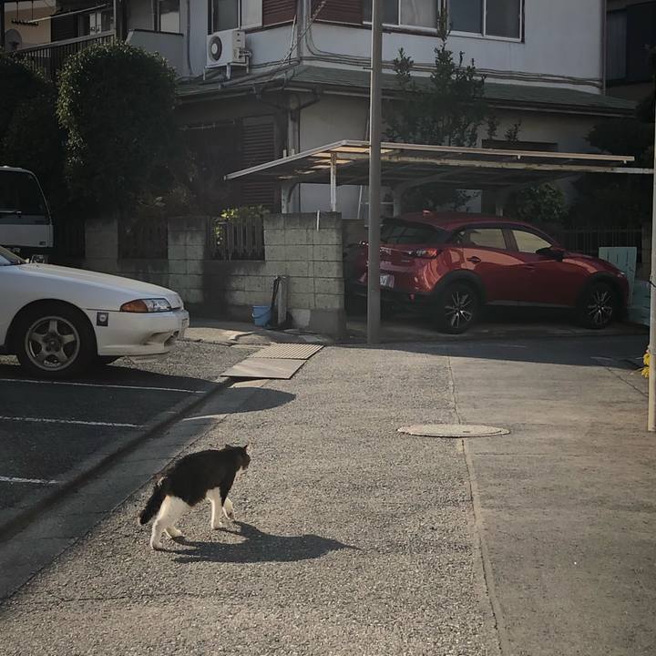 17ed763d d9e1 48fc a82d 1e1929a1f1ef 1583134683227