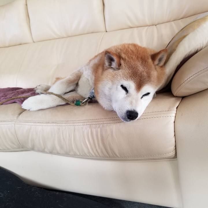 17ed8080 1bfc 4257 a078 b5e6815d272c 1718753204742