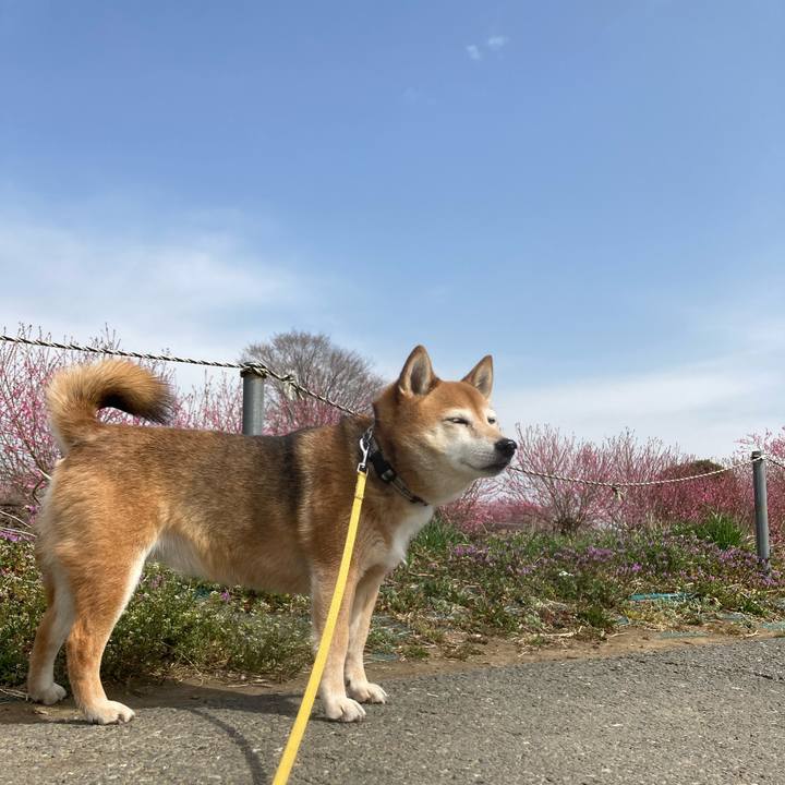 17ed94cc 61e8 442c 9913 7dc6c300ba0e 1647487997329