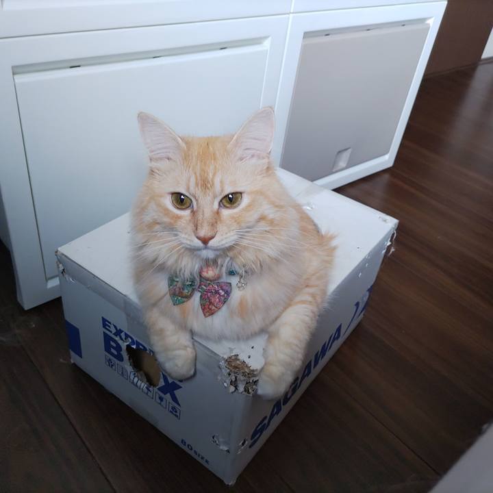 17ed9d0e 9092 4de1 afed fef95f17ef68 1661558123189