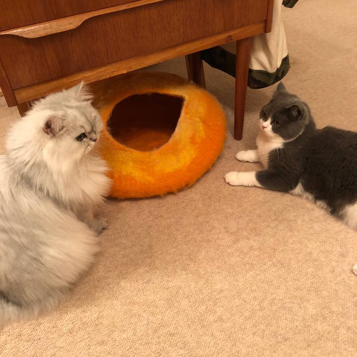 17edc10e 38ec 41b2 88ce f53eef600fd7 1541938177290