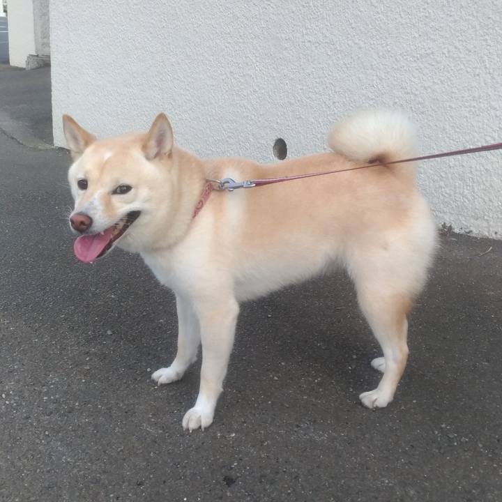 17edd16f 226a 4b51 a51c d2ef089a26e2 1598220066678