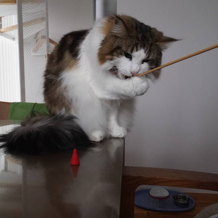 17ede7a8 82b6 471c 928e 3f6fce897b3f 1611402681140