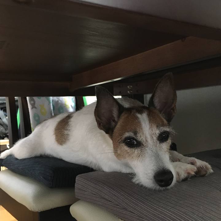 17ee0eaf 04ce 4ea6 a1bb 3a97216c5982 1629848115327