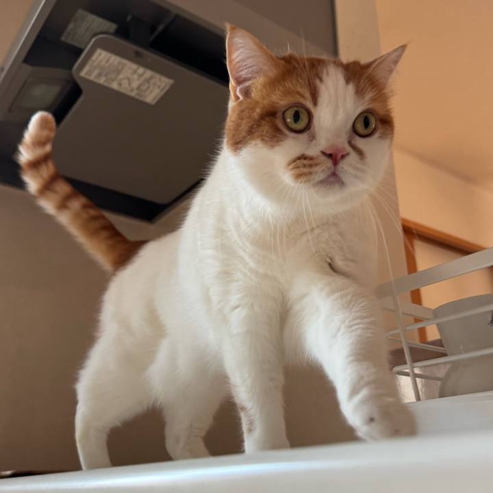 17ee2bd7 6657 4f55 901d a9c047b5ca68 1774320767307