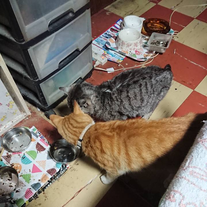 17ee7639 a58d 40ad 8209 5b4b6e4f8b82 1592766973211