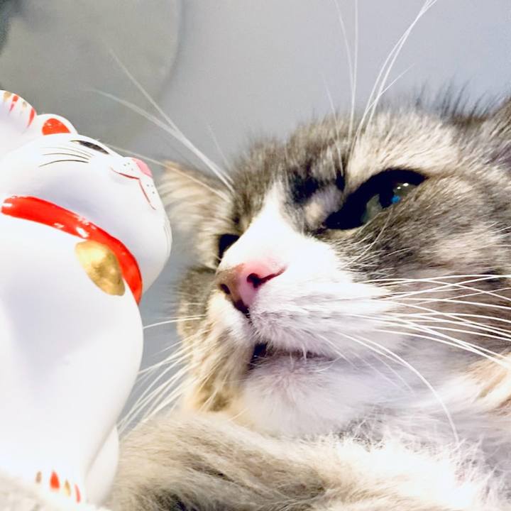 17eecd4e 109d 4cda b8df 013470e18f1a 1764170758274