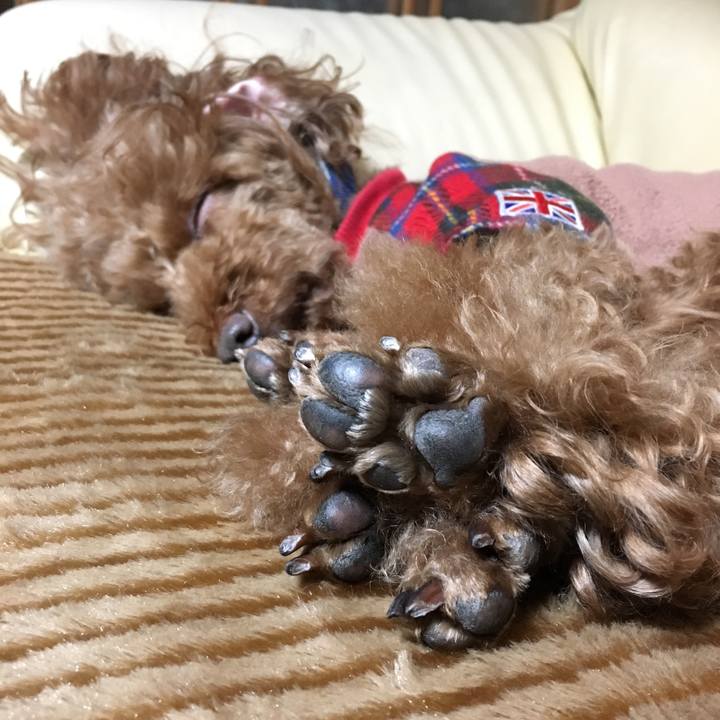 17eecf73 9dc4 463a 97de e55a0e48ecad 1546249410407