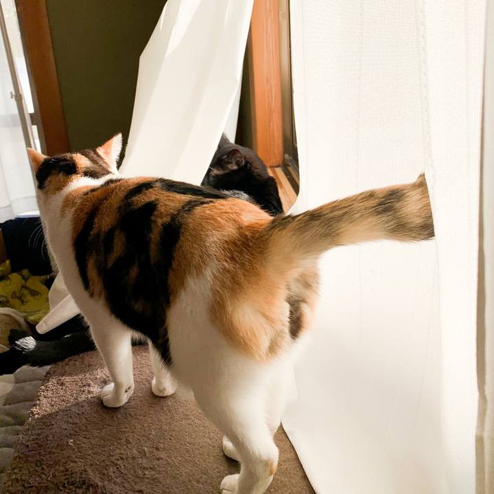 17eed007 9c0d 4887 97aa 7b3210db735f 1548044365678