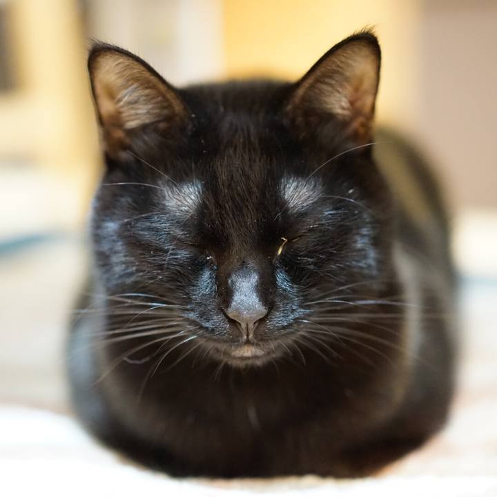 17eede60 e7b3 406c 94c5 2e444ad854c1 1549411156736