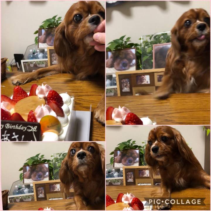 17ef5b70 2256 4a83 a427 6cb6f976a37e 1579613172804