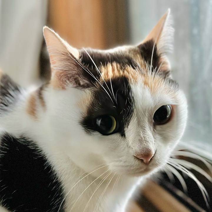 17ef76c2 e2b8 4da4 add5 d6ae6c2719dd 1705111884005